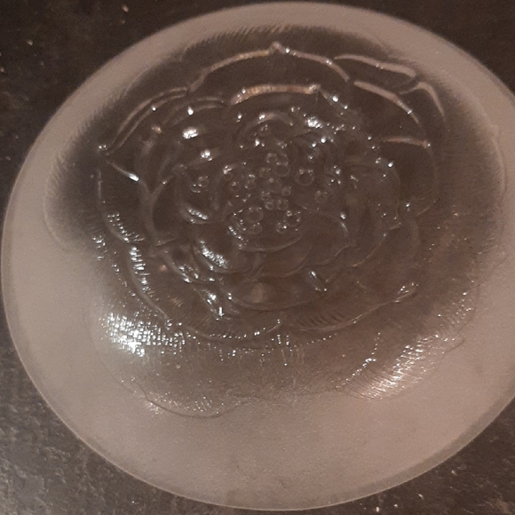 Iittala🇫🇮FINLAND4️⃣WILD ROSE FROSTED GLASS PLATES SET Villiruusu SIZE 6" - Picture 5 of 7